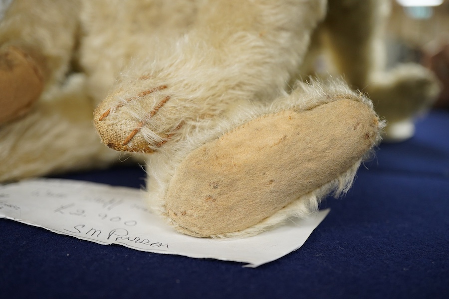 A Steiff blonde teddy bear, c.1907, approx. 36cm long